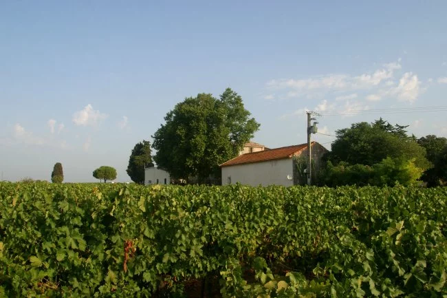 Actus Occitanie - %##23@