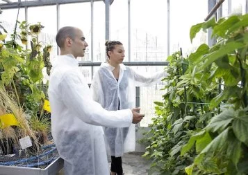 Micropep Technologies lève 4 millions d'euros pour développer son alternative aux intrants chimiques