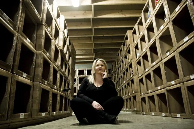 Actus Occitanie - %##23@