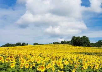 1/4 - Envie de changer de vie ? L'Occitanie vous attend !