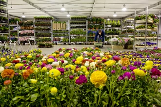 Actus Occitanie - %##23@