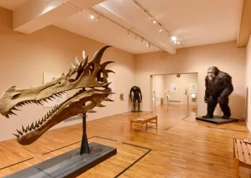 Expos : Anatomie comparée des espèces imaginaires