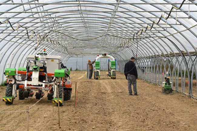 Actus Occitanie - %##23@