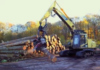 « 80% du bois utilisé en Occitanie pourrait venir de la région »
