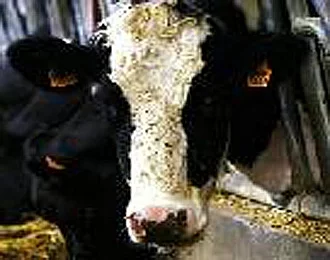 Actus Occitanie - %##23@