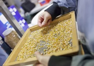 Agroalimentaire. Le géant Intersnack entre au capital de Nataïs