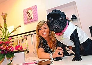 Le chien, ce nouvel accessoire de mode 