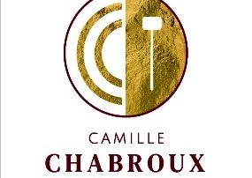 Vente aux enchères publiques
