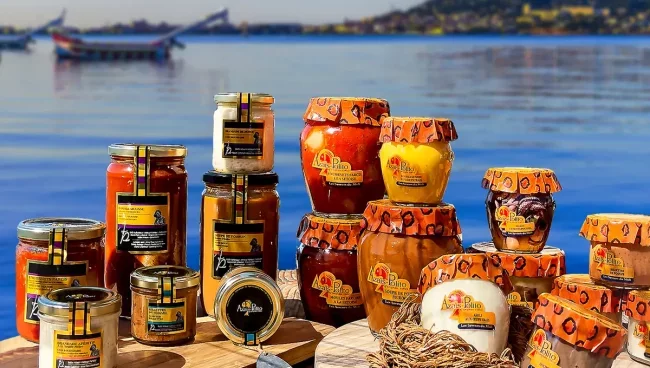 Actus Occitanie - %##23@