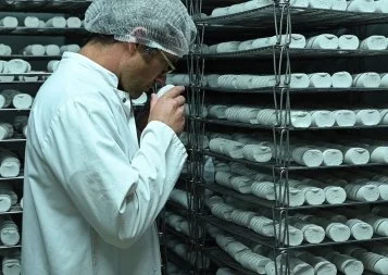 Fromagerie artisanale « Dans notre travail, les robots n'ont pas encore leur place »