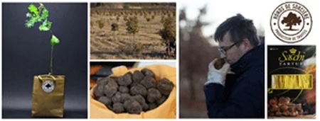 Actus Occitanie - %##23@