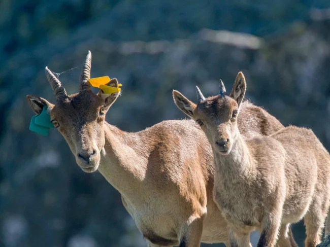 Actus Occitanie - %##23@