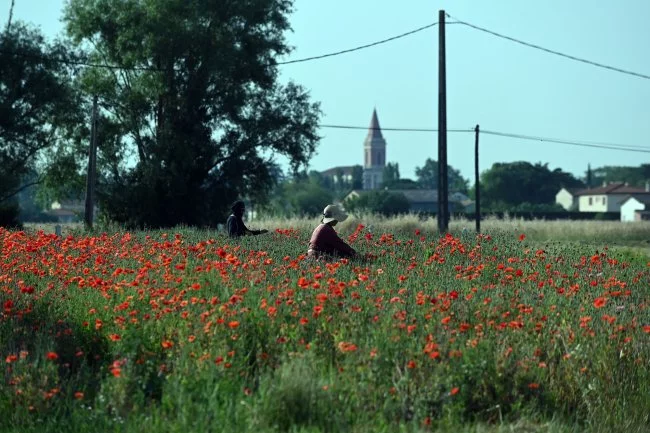 Actus Occitanie - %##23@